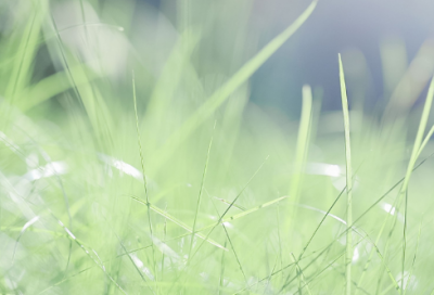 ​有创意的包装公司名字 有寓意的包装厂的名字