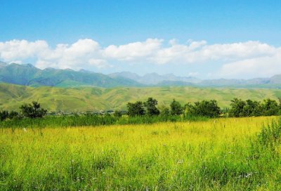 ​寓意好家政公司名字大全 家政起名字大气好记