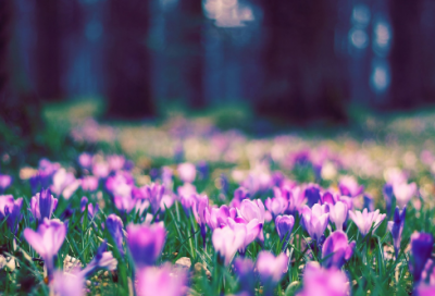 ​个性的公司名称大全,独特有特色的公司名字