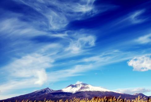 1688790255619343.png image.png