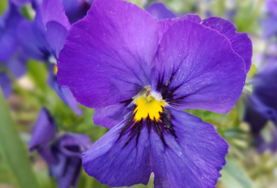 ​2023年霸气公司名称,2023年公司起名字大全免费