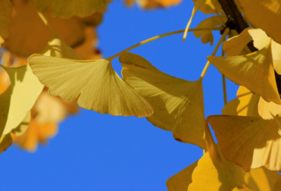 ​生僻公司名字大全,寓意好的生僻字公司名