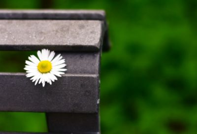 ​环保公司起名字大全免费 好听的环保公司名字大全