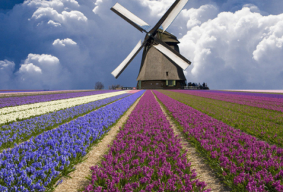 ​2023甜蜜情侣网名(优选345个)