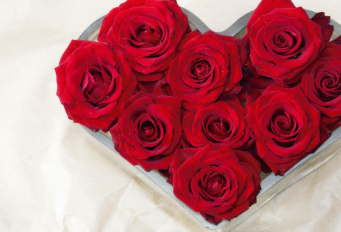 1688945599191515.png image.png