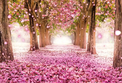 1688951934914831.png image.png