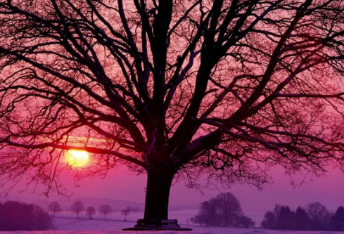 1688955600155227.png image.png