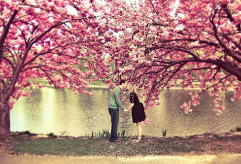 1688962099855875.png image.png