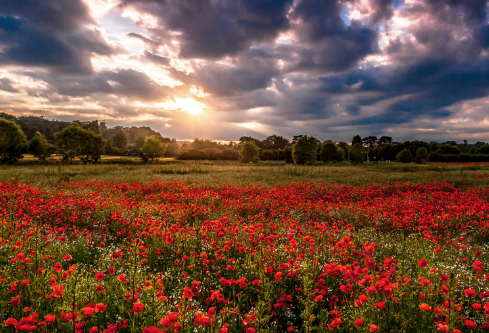 1688970098721535.png image.png