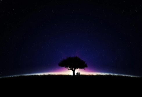 1688981269984556.png image.png