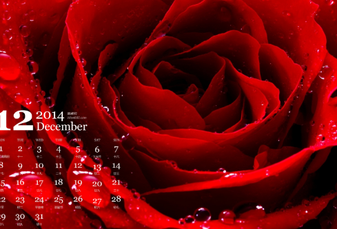 1688985266407706.png image.png