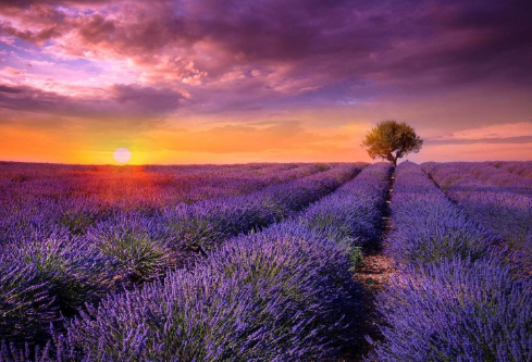 1688986932557720.png image.png