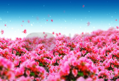 ​温柔限量好听的情侣网名(精选112个)