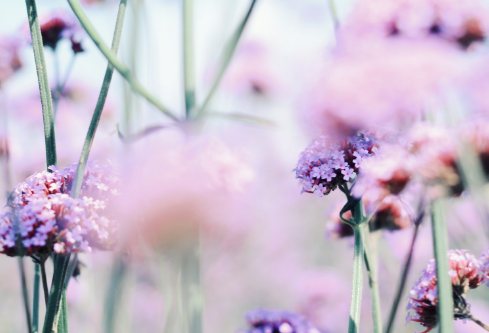 1688987932765382.png image.png