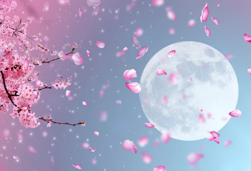 1688988431427005.png image.png