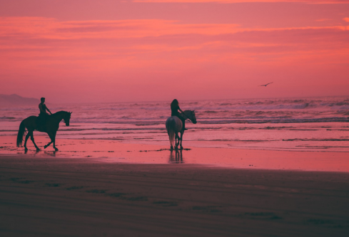 1688989431434342.png image.png