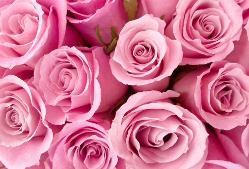 1688994598817912.png image.png