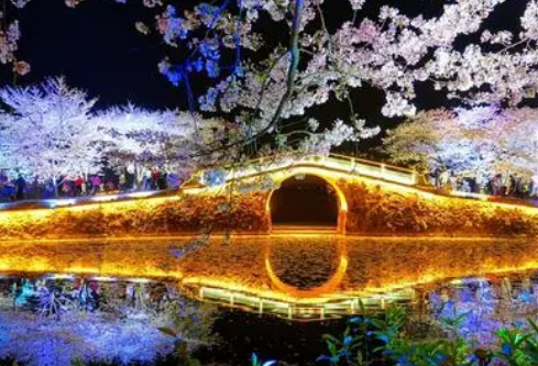 1688998780739359.png image.png