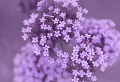 ​余生情侣名字大全(优选81个)