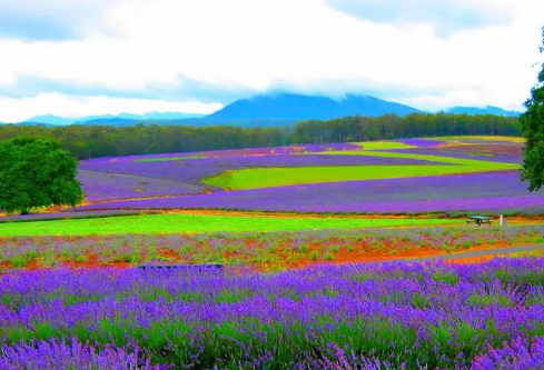 1689002609648045.png image.png