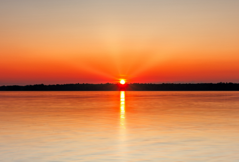 1689008604770053.png image.png