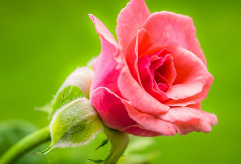 1689009437817055.png image.png