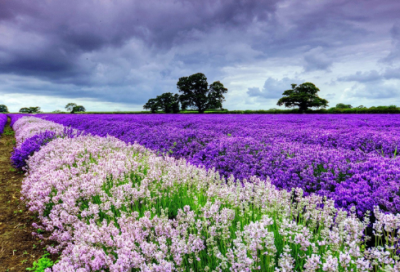 ​带符号的情侣lol游戏网名(83个)