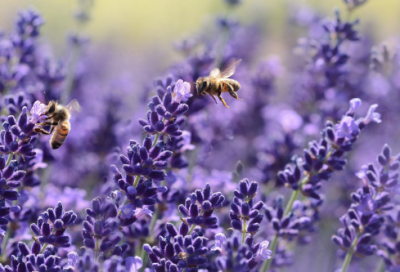 ​炫舞繁体情侣网名大全(优选62个)