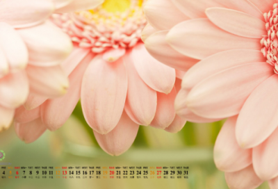 ​幽默搞笑的情侣网名大全(优选78个)