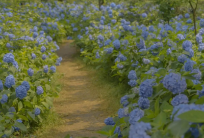 ​唯美飞车宠物情侣网名字两个字(29个)