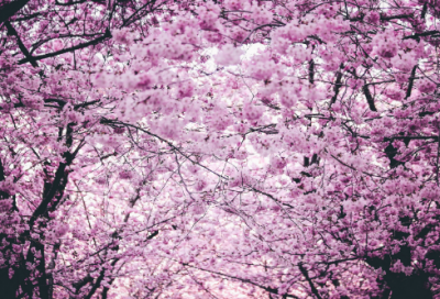 ​很逗比的情侣游戏名字大全两个字(精选26个)