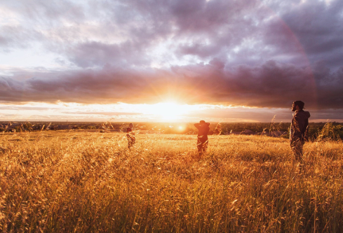 1689231159817413.png image.png