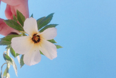 ​2023女生个性网名大全(精选1103个)