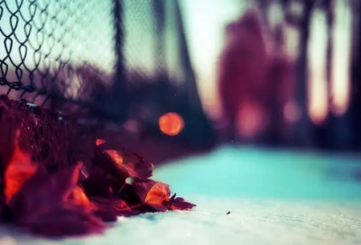 ​2023最新版女生网名大全(优选1084个)