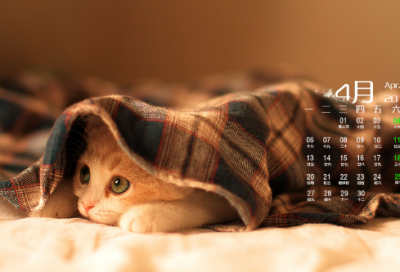 ​好听又优雅的女生微信名(1059个)