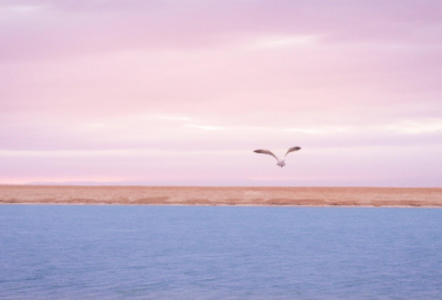 ​最新版适合女生用的网名(共1039个)