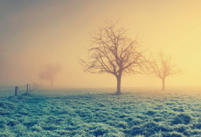 ​让女生心动的微信名(1030个)