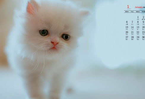 1689244507558491.png image.png