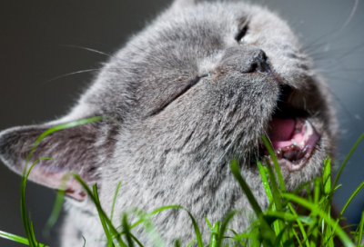 ​2023年最火爆的网名女生(优选859个)