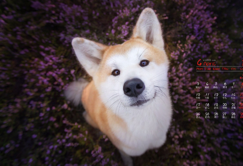 1689250173360888.png image.png