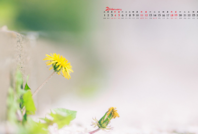 ​女生干净简约的网名(共861个)