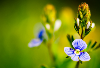 ​干净清新的女生网名(精选840个)