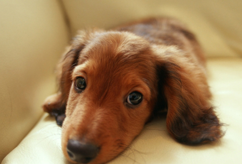 1689253507660862.png image.png