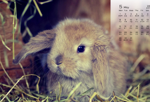 1689262174630832.png image.png