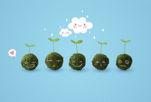 1689262507882289.png image.png