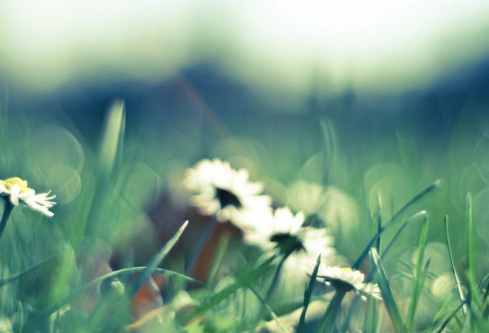 1689263174944192.png image.png