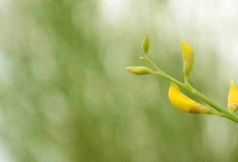 1689263507650633.png image.png