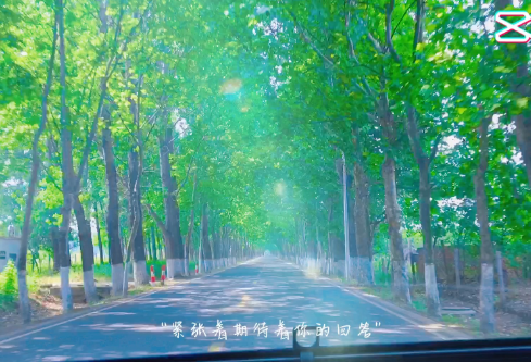 1689287685973040.png image.png