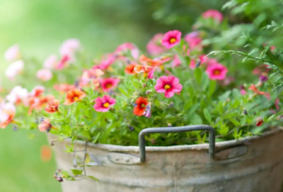 ​超拽的游戏名字大全(精选955个)