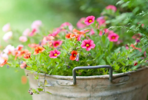 1689288018240910.png image.png